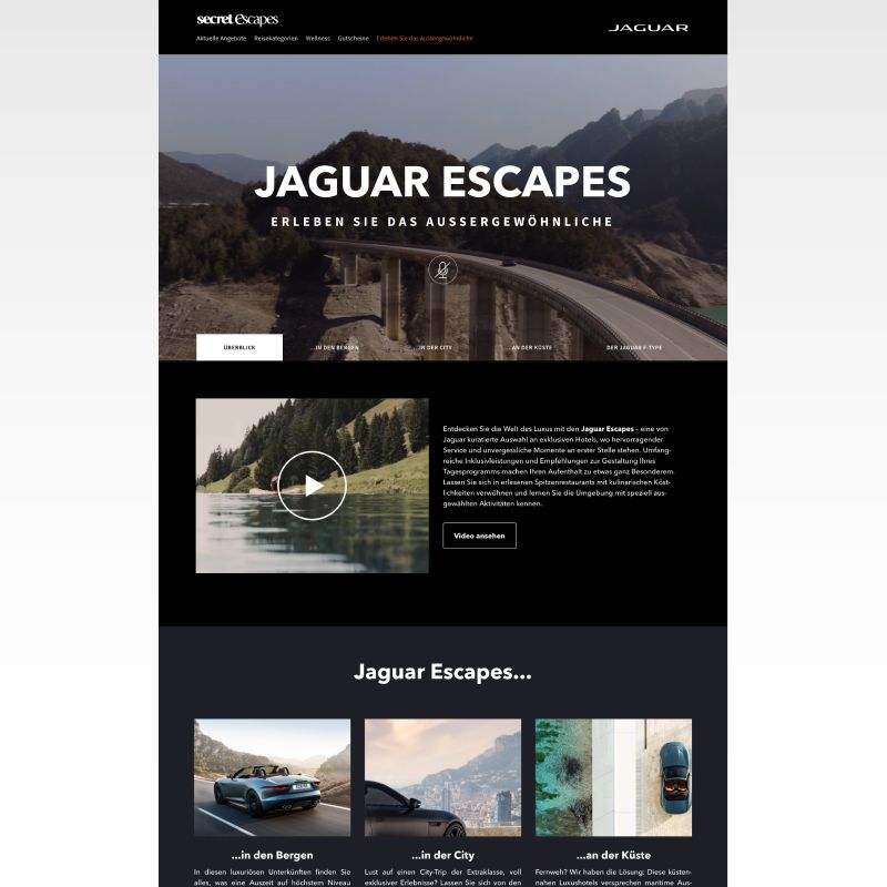 Portfolio Item